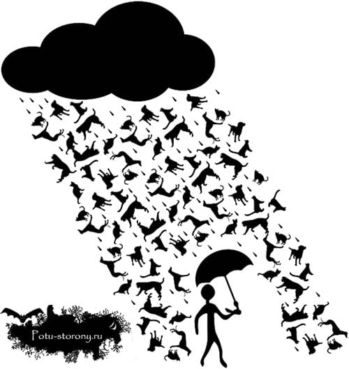 Удивительные случаи дождя с животными